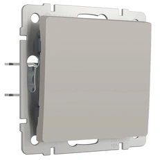 Изображение Выключатель одноклавишный проходной (дымчатый матовый) W1212004